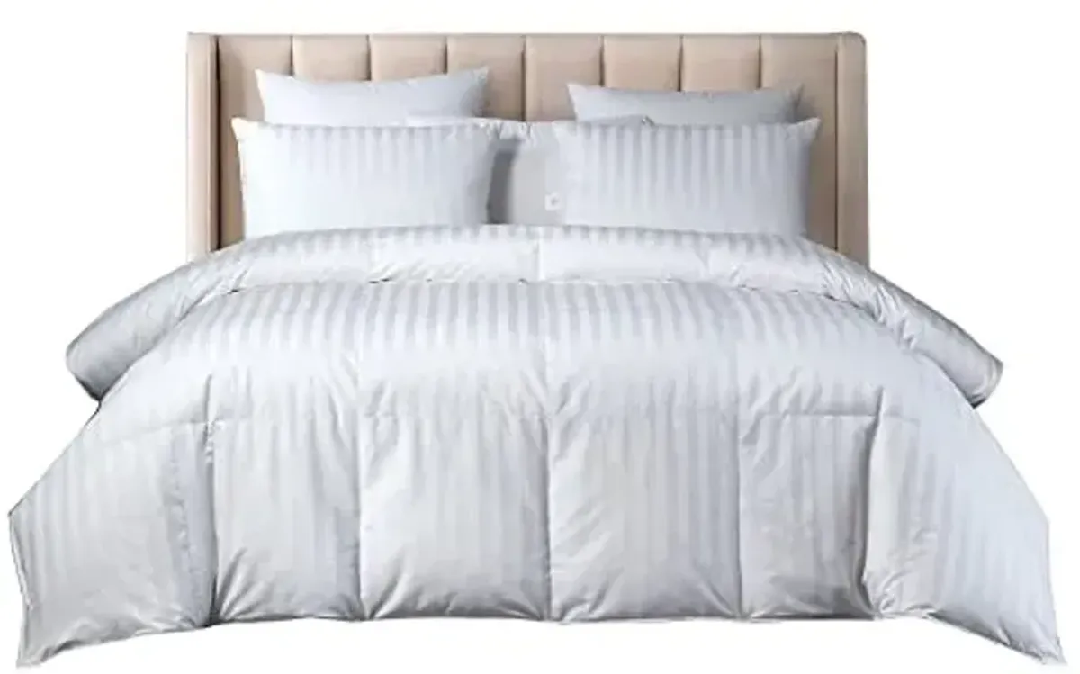 Beautyrest US Grown Cotton All Seasons Warmth Exceptional Hungarian White Goose Down Comforter Queen Size-750 Fill Power 500TC Damask Stripe Fabric