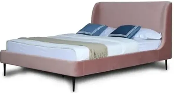 Manhattan Comfort Heather Queen Bed Frame with Headboard Upholstered in Velvet with Mid-Century Modern Tapered Black Legs, Slats and Center Support Included, No Box Spring Required, Blush Pink