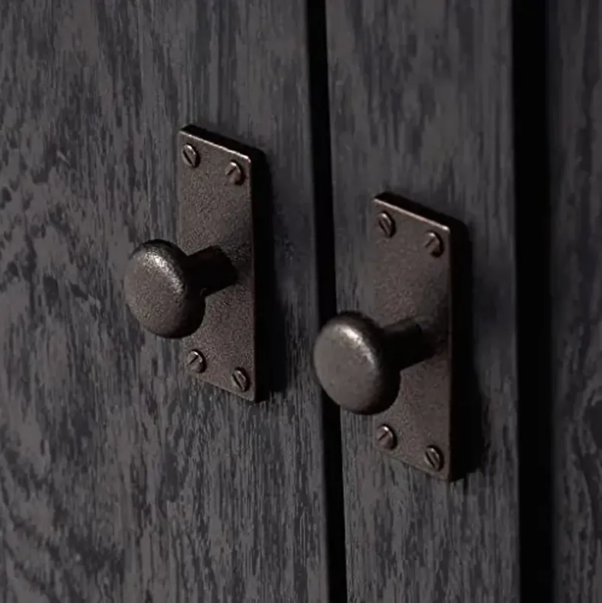 Sauder Cottage Road Book Shelf, Bookshelf with Storage, Library Bookcase with Doors and Adjustable Shelves, in Raven Oak Finish