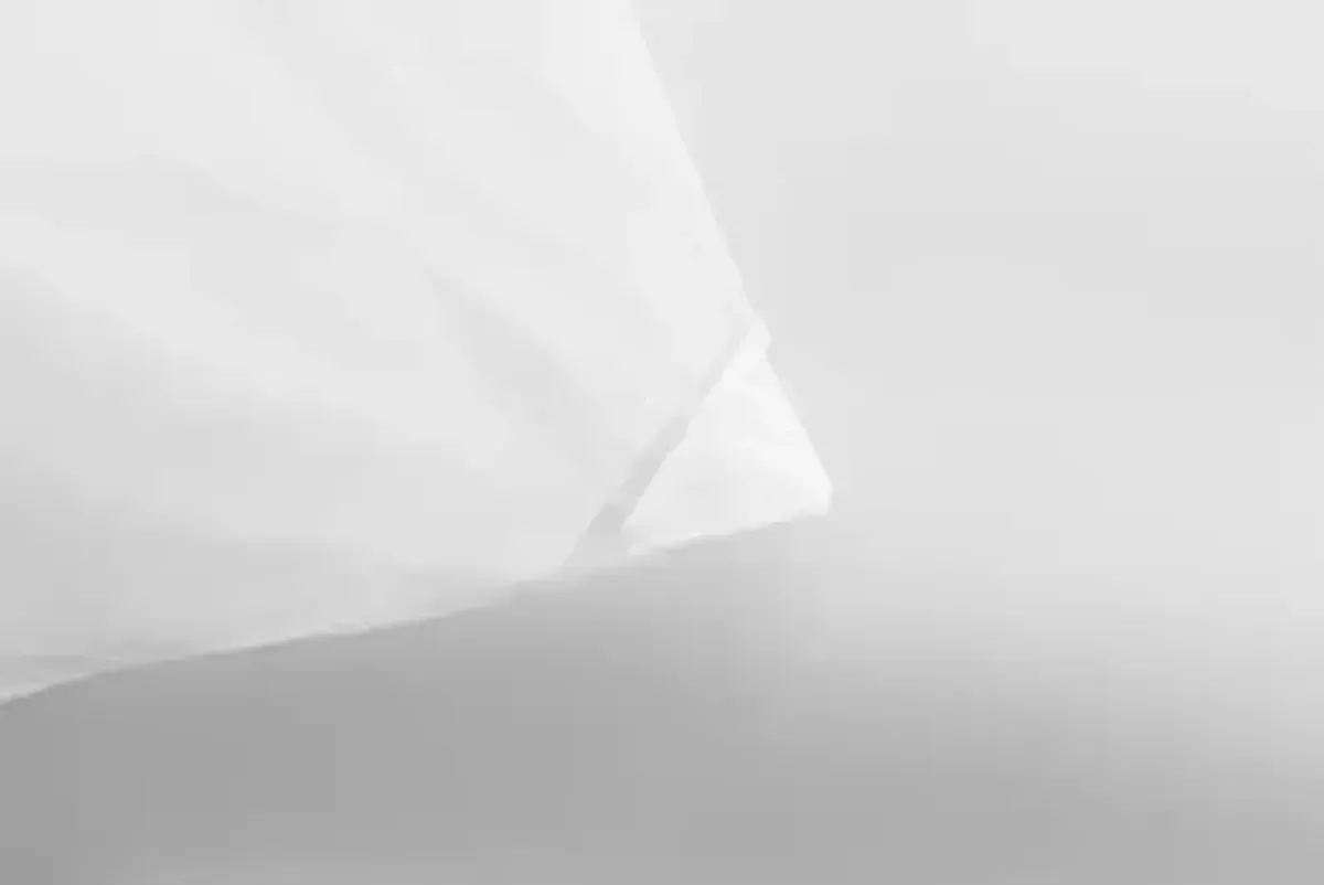 Allersoft| All Cotton Dust, Pet Dander, Feather, Pollen & Allergy Control Duvet Protector (86x86)