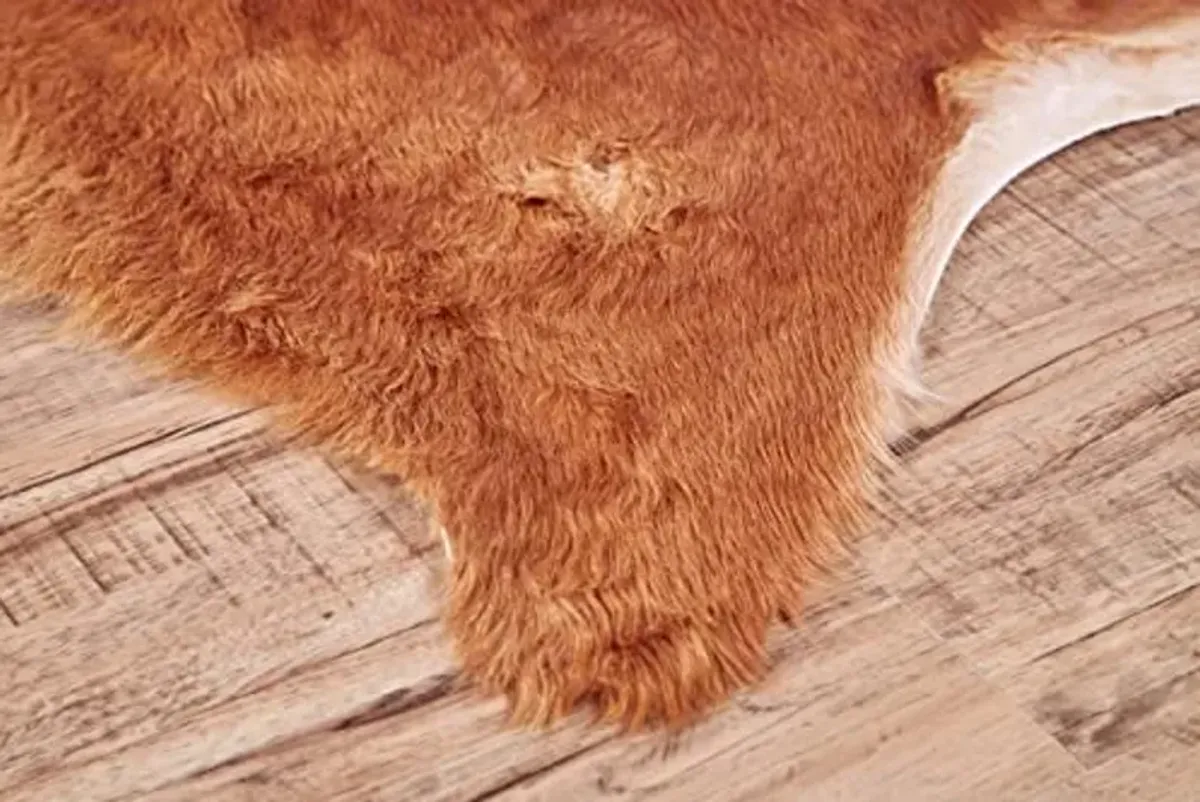 Feizy Rugs - Bartlett Premium On-Hair Cowhide, Angus, Tawny Brown, Large, Shaped