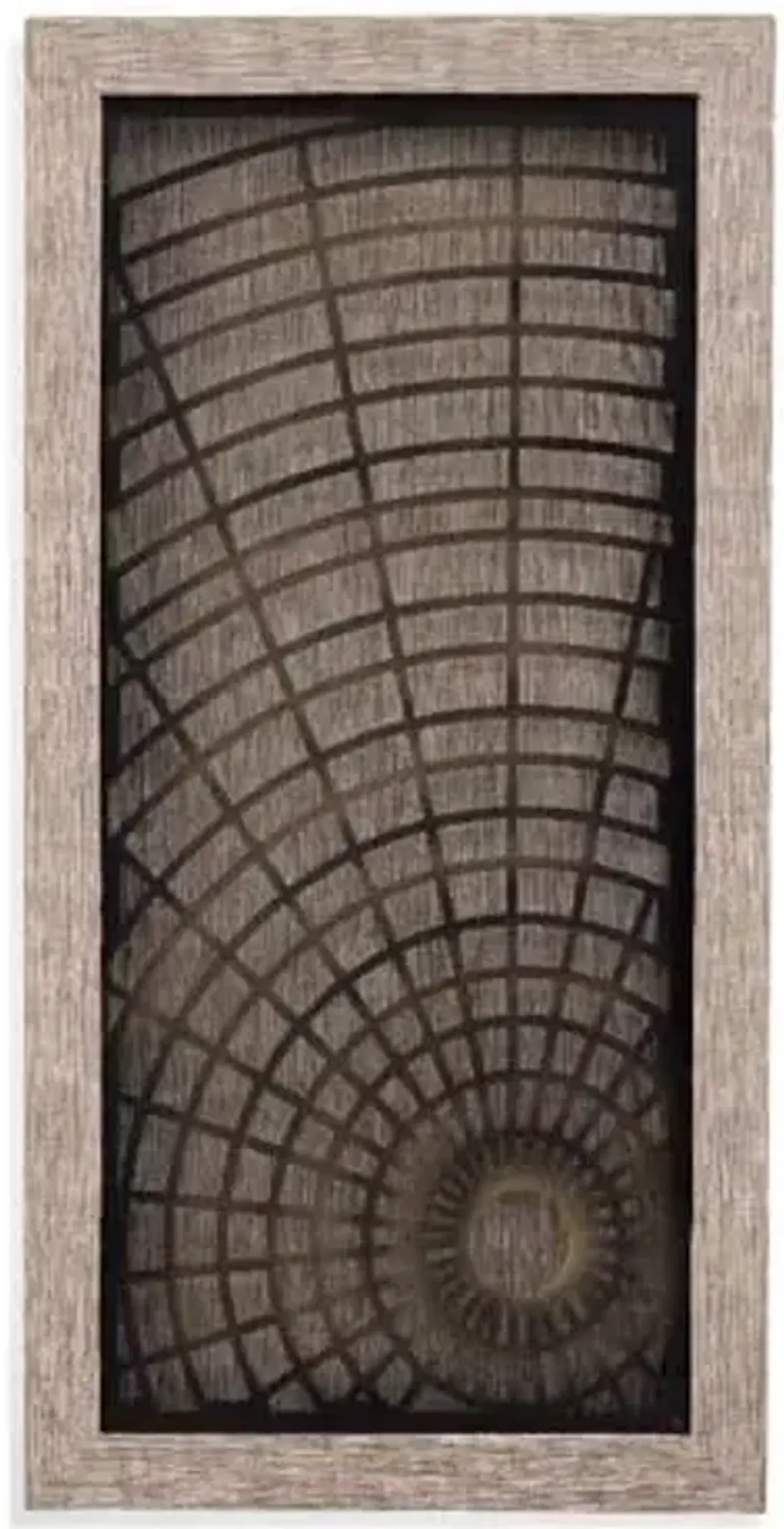 Bassett Mirror Company Charlotte's Web Iron Wall Art in Black Wood Frame