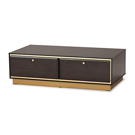 Baxton Studio Cormac Transitional Wood and Gold Metal 2-Drawer Coffee Table