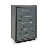 Trevor Gray Wood 5-Drawer Chest with Mirror Glass