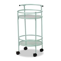 Baxton Studio Newell Trolley and Cart, One Size, Mint Green/Black
