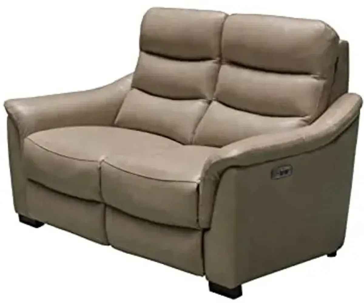 Abbyson Living Traditional Leather Power Loveseat, Beige