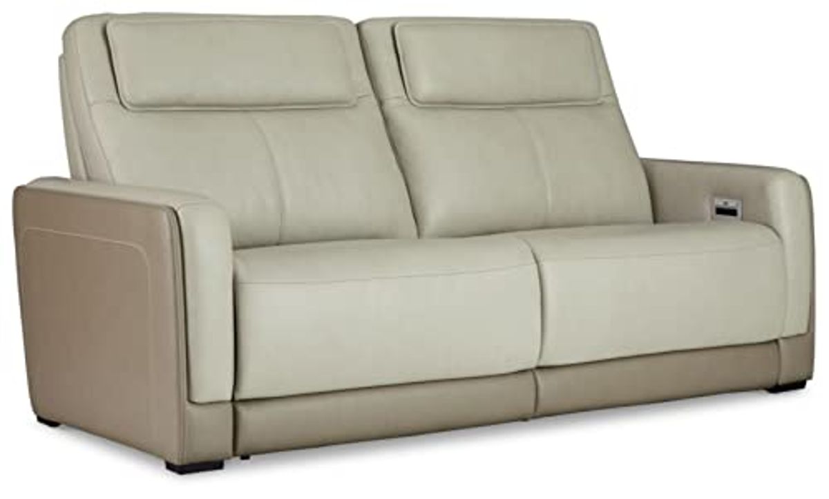 Signature Design by Ashley Battleville Contemporary Leather 2 Seat Power Reclining Sofa with Adjustable Headrest, Light Gray