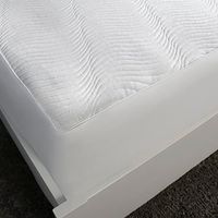 Sealy Mattress Topper, Spot and Stain Protection, Fitted Waterproof Mattress Protector - Queen Mattress Cover