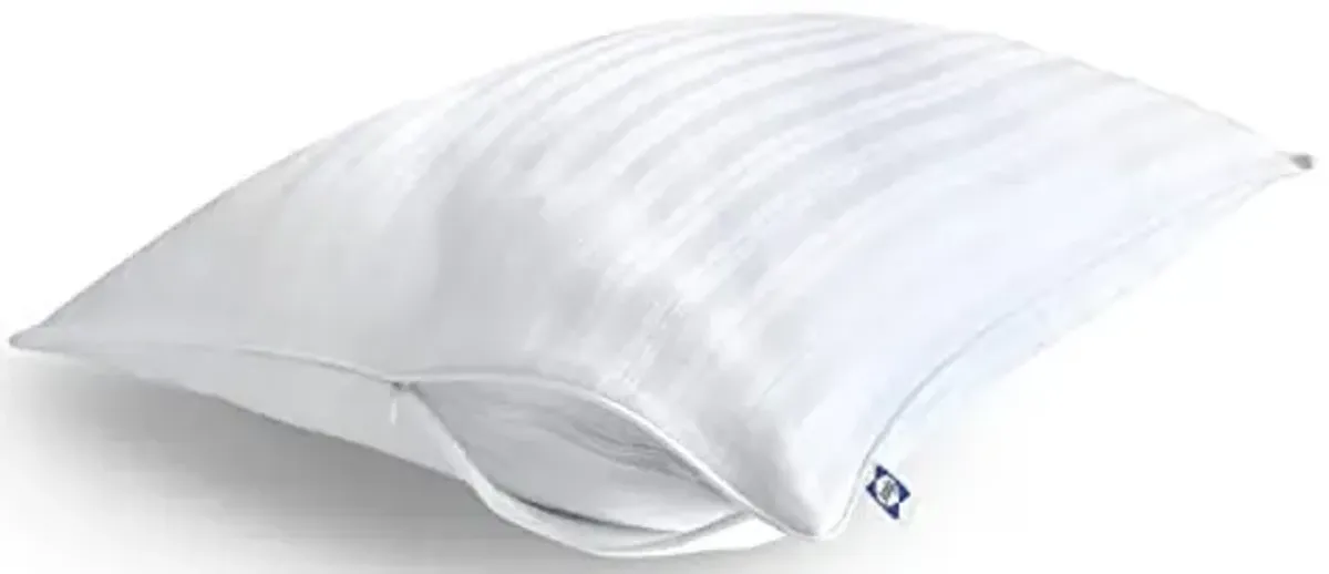 Sealy Pillow Cover, Soft Comfort Bed Pillow Protector, 2 Pack, Standard/Queen Pillow Cover