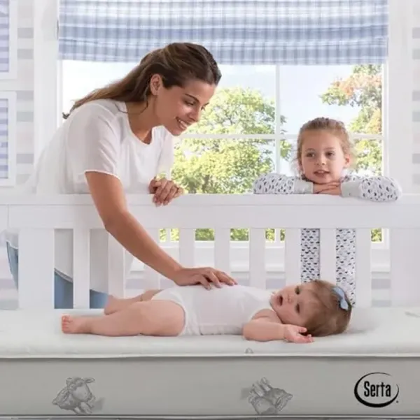 Serta Perfect Embrace Crib and Toddler Mattress - Breathable Fiber Core - GREENGUARD Gold Certified -7 Year Warranty - Made in USA