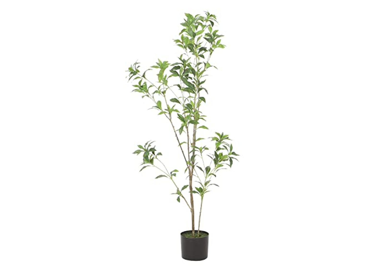 Christopher Knight Home Bergweg 4' x 1.5' Artificial Pieris Tree - Green