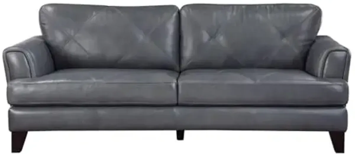 Lexicon Thierry 19" Modern Plywood and Leather Sofa in Gray Finish