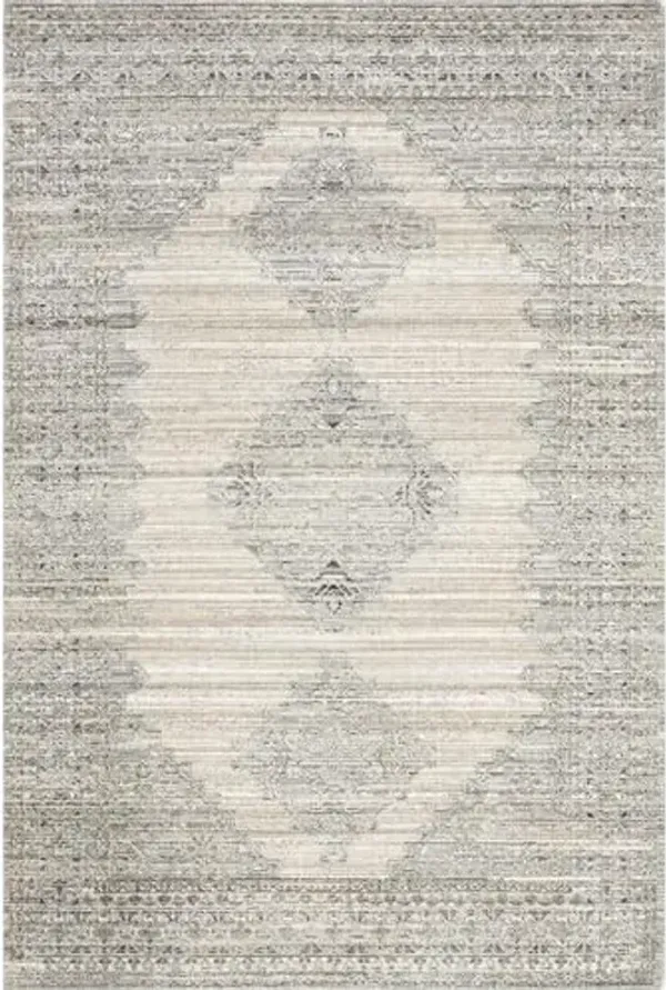 Nuloom Deena Beige, 8'10" x 11'10", Vintage, Soft and Cozy, High Traffic, Stain Resistant, Easy Clean, Durable, Machine Washable Area Rug for Indoor/Outdoor Patio, Deck, Porch, Garden, Courtyard