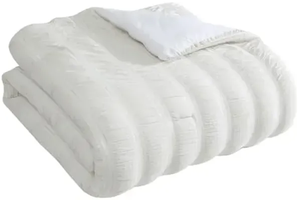 Tahari Home - Comforter Set, Lightweight Bedding with Matching Pillow Shams, Chic Room Decor, Seersucker Striped Room Decor (Aria White/Taupe, Full/Queen)