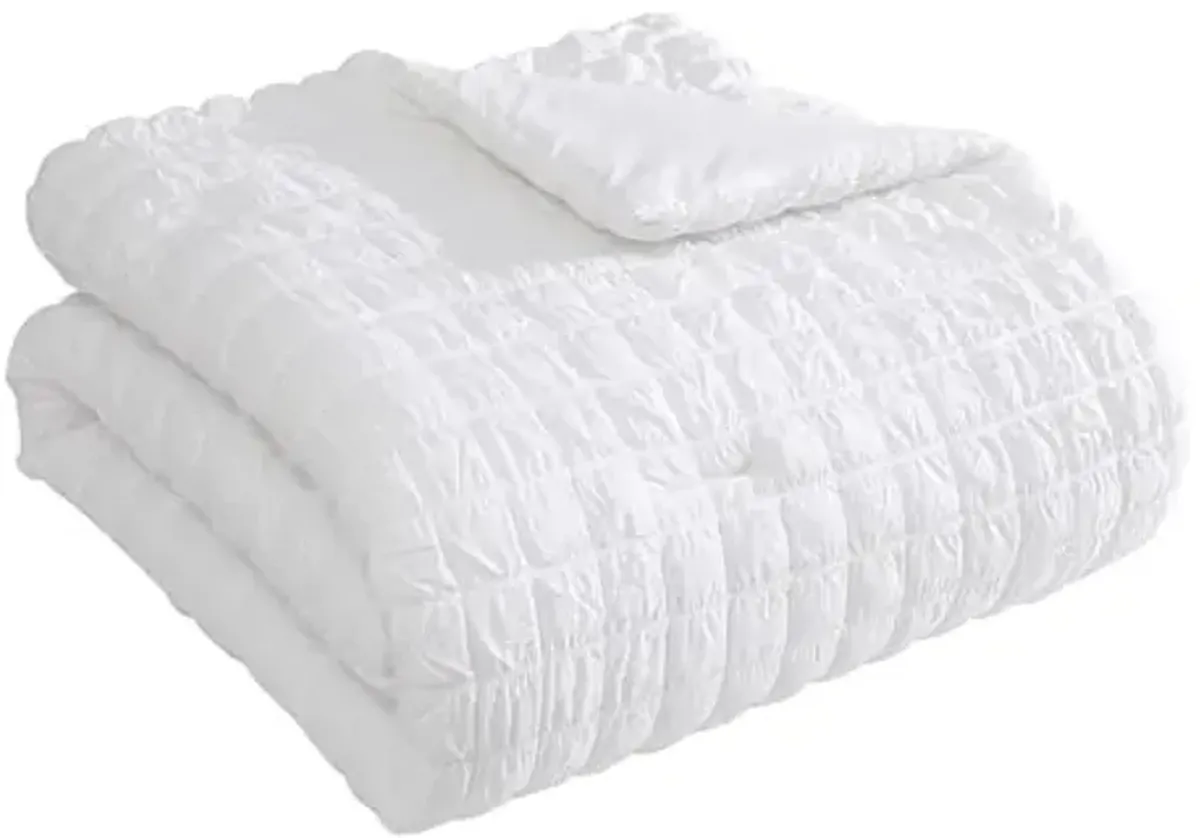 Tahari Home - Comforter Set, Lightweight Bedding with Matching Pillow Shams, Chic Room Decor, Puckered Seersucker Room Decor (Luca White, Full/Queen)