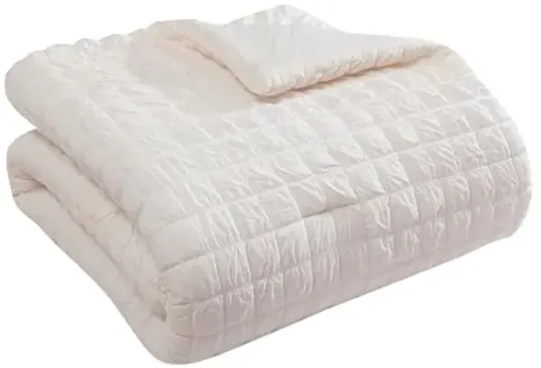 Tahari Home - Comforter Set, Lightweight Bedding with Matching Pillow Shams, Chic Room Decor, Puckered Seersucker Room Decor (Luca Ivory, Full/Queen)