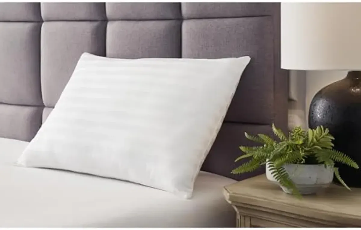 Signature Design by Ashley Zephyr 2.0 100% Cotton Cover with Hypoallergenic Fiberfill Pillow, 2 Count, White