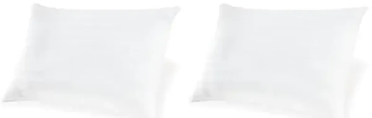 Signature Design by Ashley Zephyr 2.0 Classic Eco-Friendly Hypoallergenic Striped Cotton Standard Pillow 20 x 28 Inches, Set of 2, White