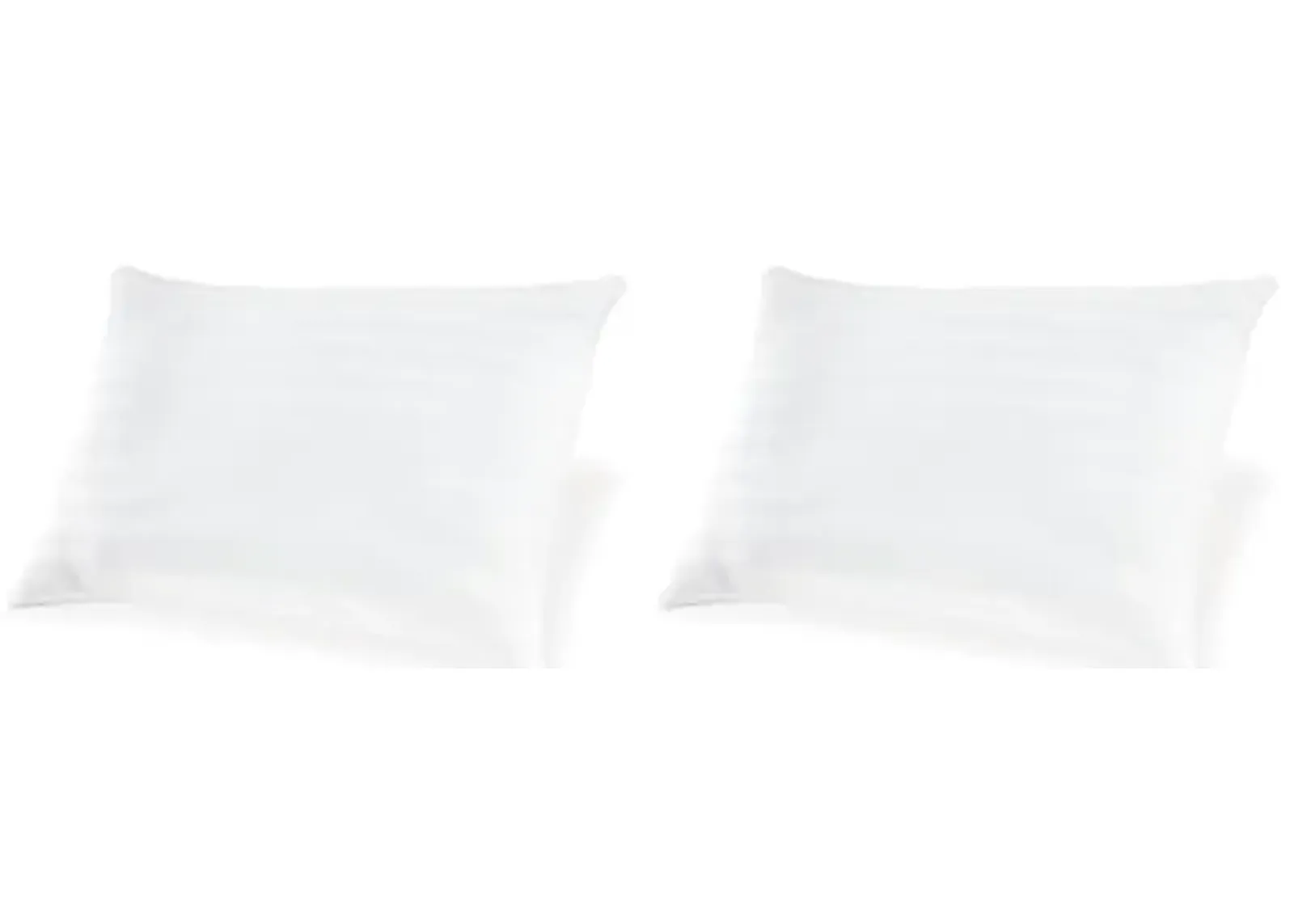 Signature Design by Ashley Zephyr 2.0 100% Cotton Cover with Hypoallergenic Fiberfill Pillow, 2 Count, White