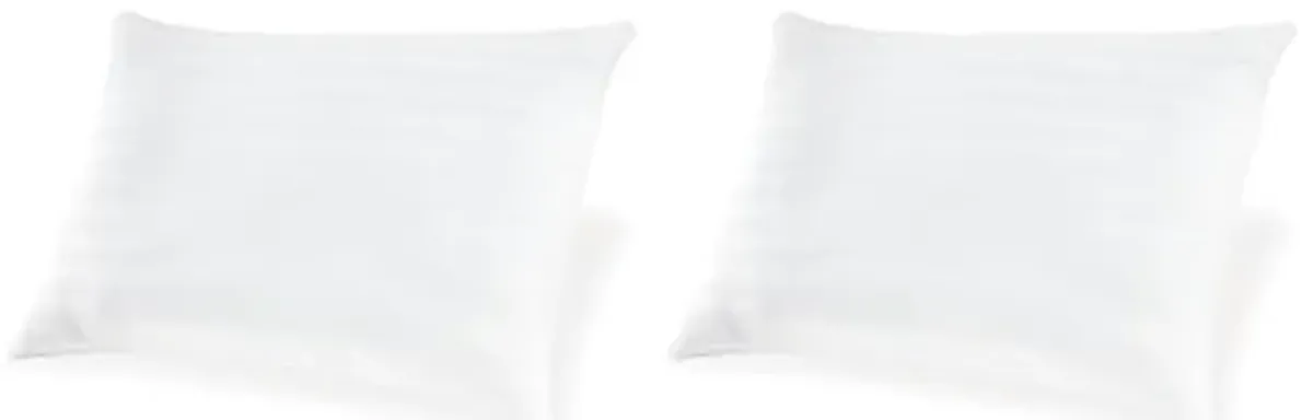 Signature Design by Ashley Zephyr 2.0 100% Cotton Cover with Hypoallergenic Fiberfill Pillow, 2 Count, White