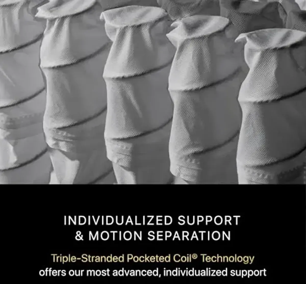 Beautyrest Black Series One 14.5" Plush Pillow Top Queen Mattress - Breathable, Cooling, and Supportive - CertiPUR-US Certified, 100-Night Sleep Trial, and 10-Year Limited Warranty