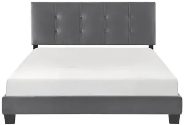Lexicon Queen Bed Frame, Velvet Upholstered Bed with Button Tufted Headboard and Adjustable Headboard, Modern Queen Bed, No Box Spring Needed, Easy Assembly, Dark Gray