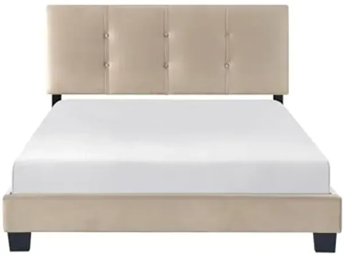 Lexicon Full Bed Frame, Velvet Upholstered Bed with Button Tufted Headboard and Adjustable Headboard, Modern Full Bed, No Box Spring Needed, Easy Assembly, Light Brown