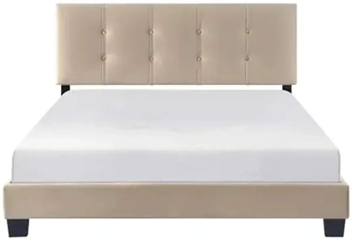 Lexicon Queen Bed Frame, Velvet Upholstered Bed with Button Tufted Headboard and Adjustable Headboard, Modern Queen Bed, No Box Spring Needed, Easy Assembly, Light Brown