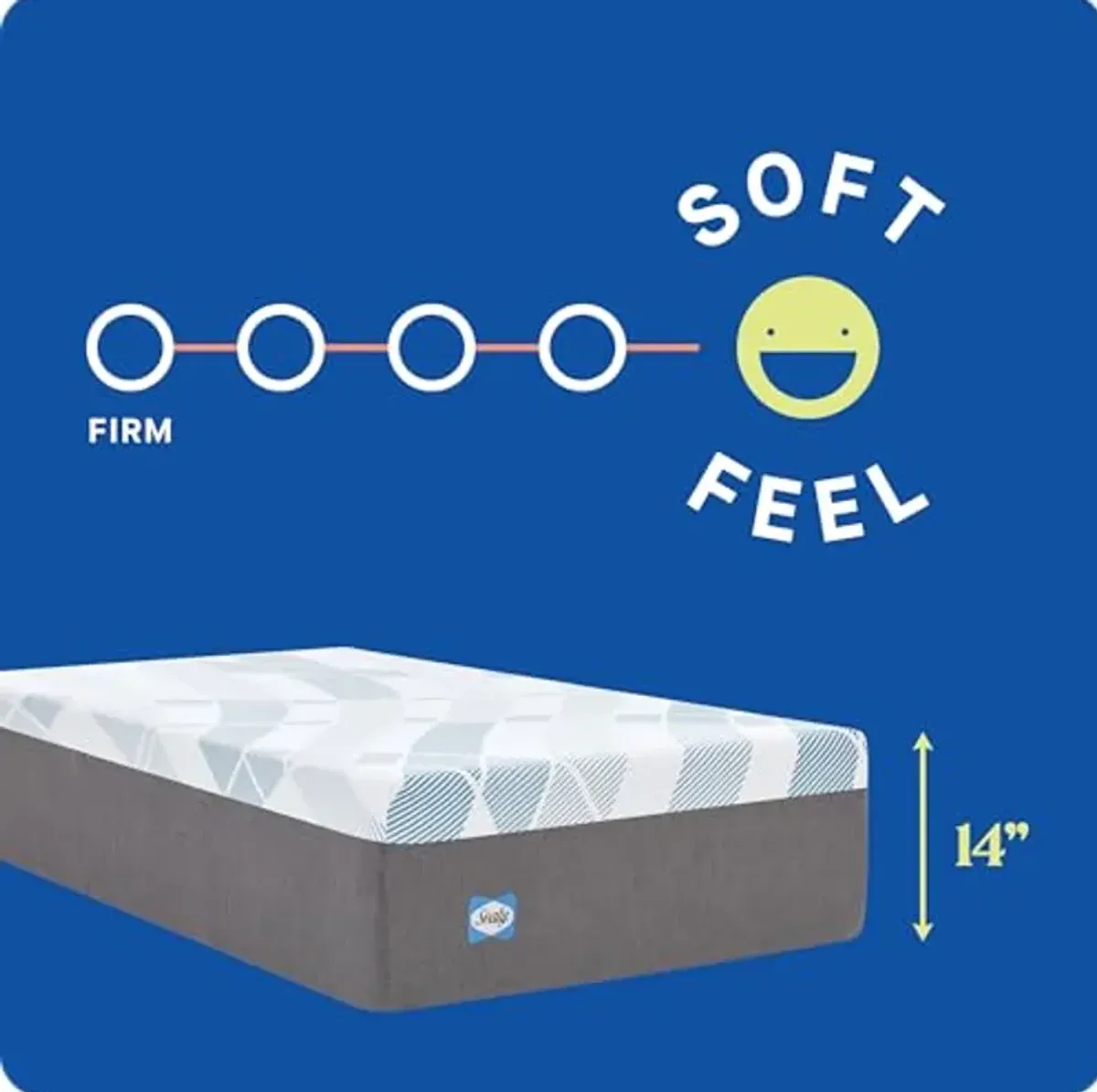 Sealy Dreamlife 14” Foam Mattress-in-a-Box, Twin