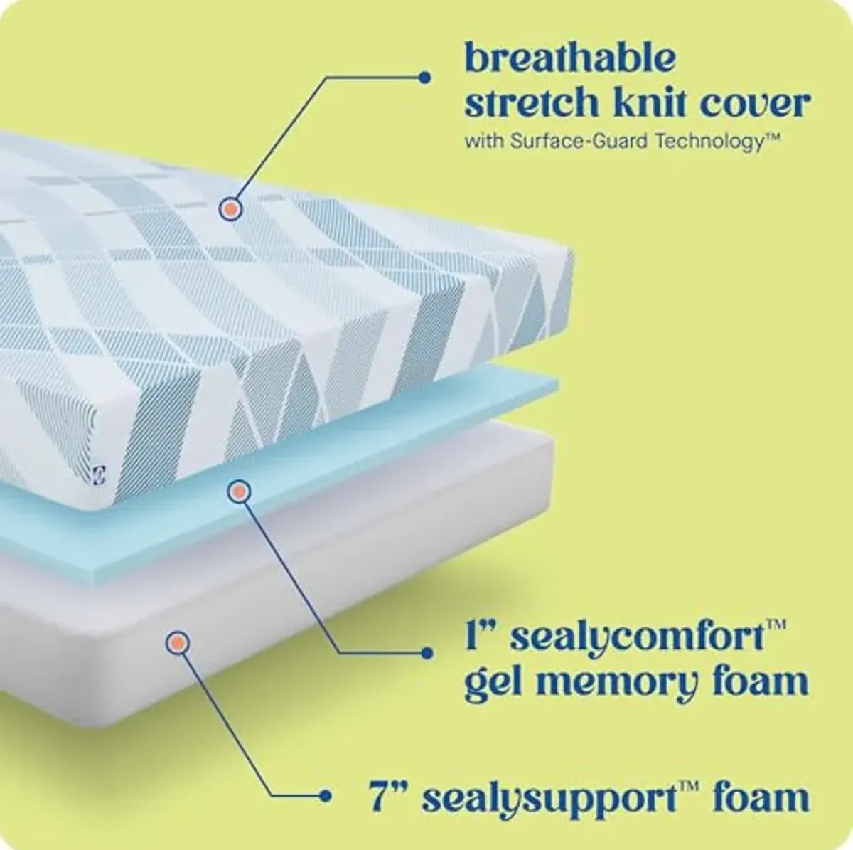 Sealy Dreamlife 8” Foam Mattress-in-a-Box, Twin XL