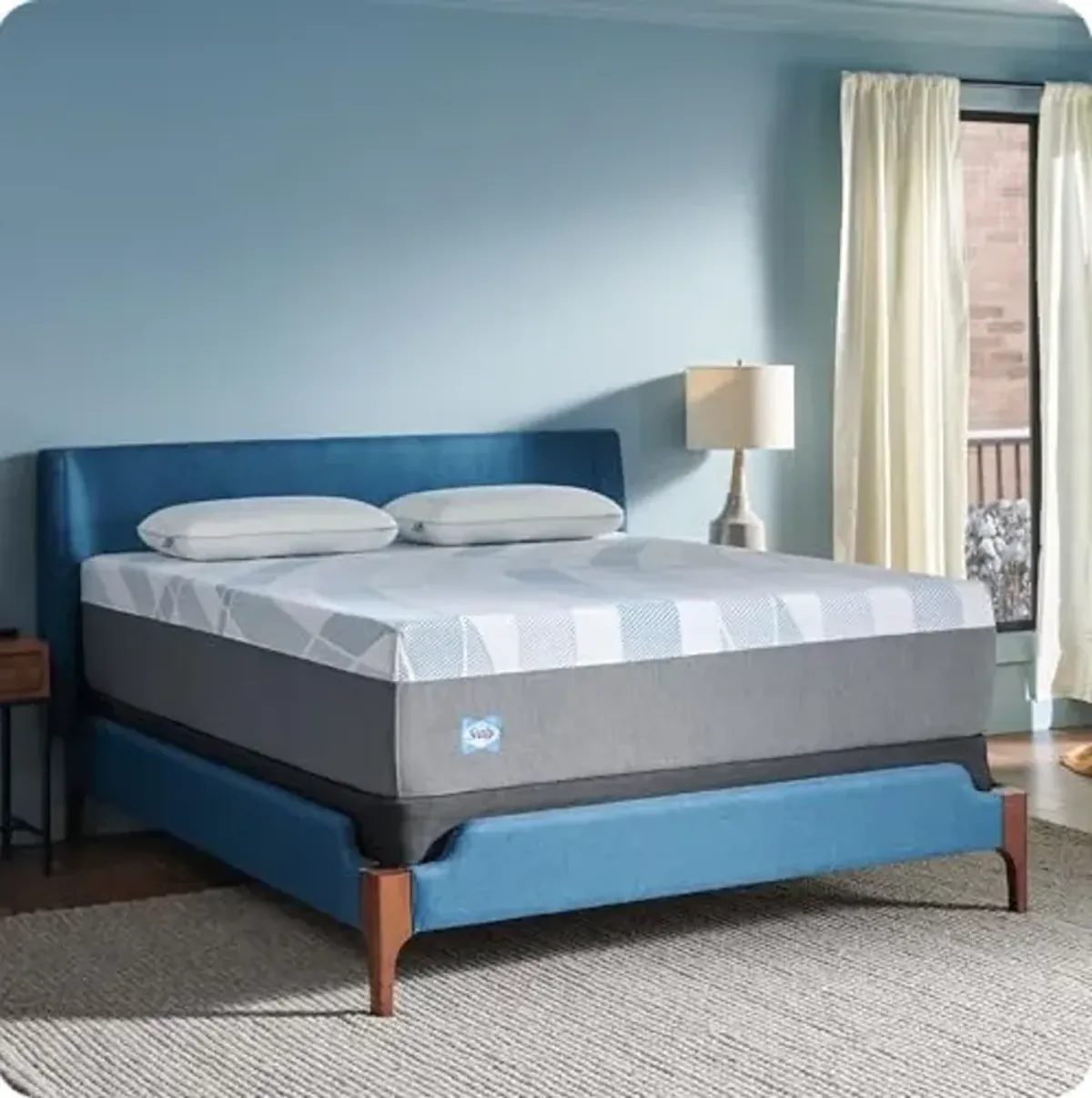 Sealy Dreamlife 14” Hybrid Mattress-in-a-Box, Queen, SealyComfort Gel Memory Foam, SealyResponsive Encased Coils, Machine Washable Cover