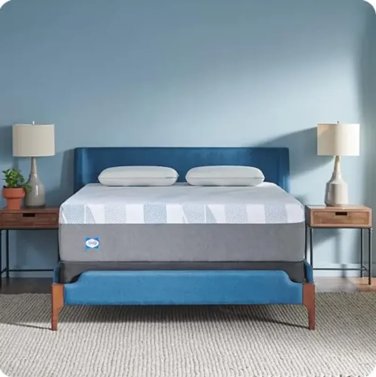 Sealy Dreamlife 14” Hybrid Mattress-in-a-Box, Queen, SealyComfort Gel Memory Foam, SealyResponsive Encased Coils, Machine Washable Cover
