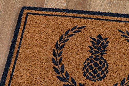 Erin Gates by Momeni Park Pineapple Navy Hand Woven Natural Coir Doormat 1'6" X 2'6" (Pack of 2)