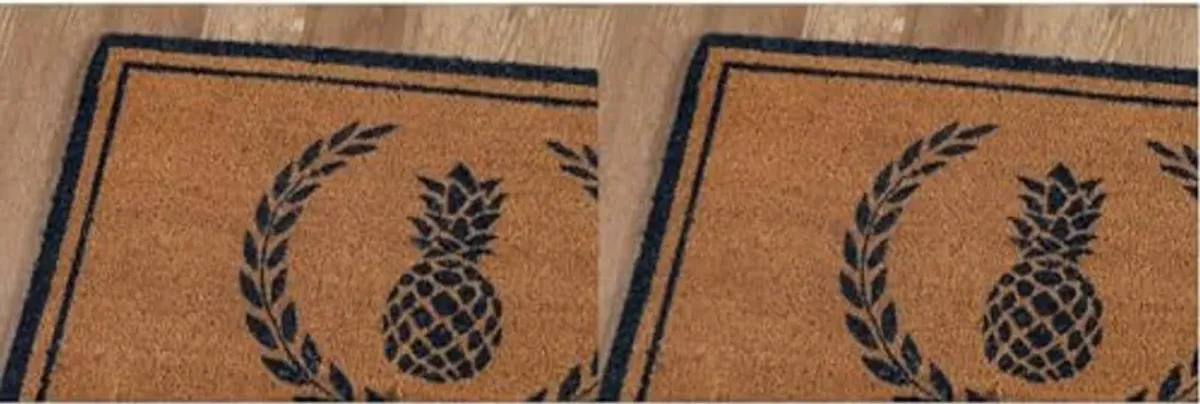 Erin Gates by Momeni Park Pineapple Navy Hand Woven Natural Coir Doormat 1'6" X 2'6" (Pack of 2)