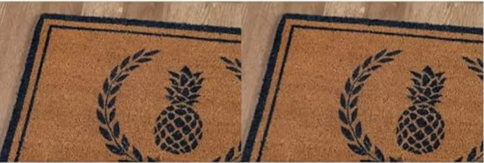 Erin Gates by Momeni Park Pineapple Navy Hand Woven Natural Coir Doormat 1'6" X 2'6" (Pack of 2)