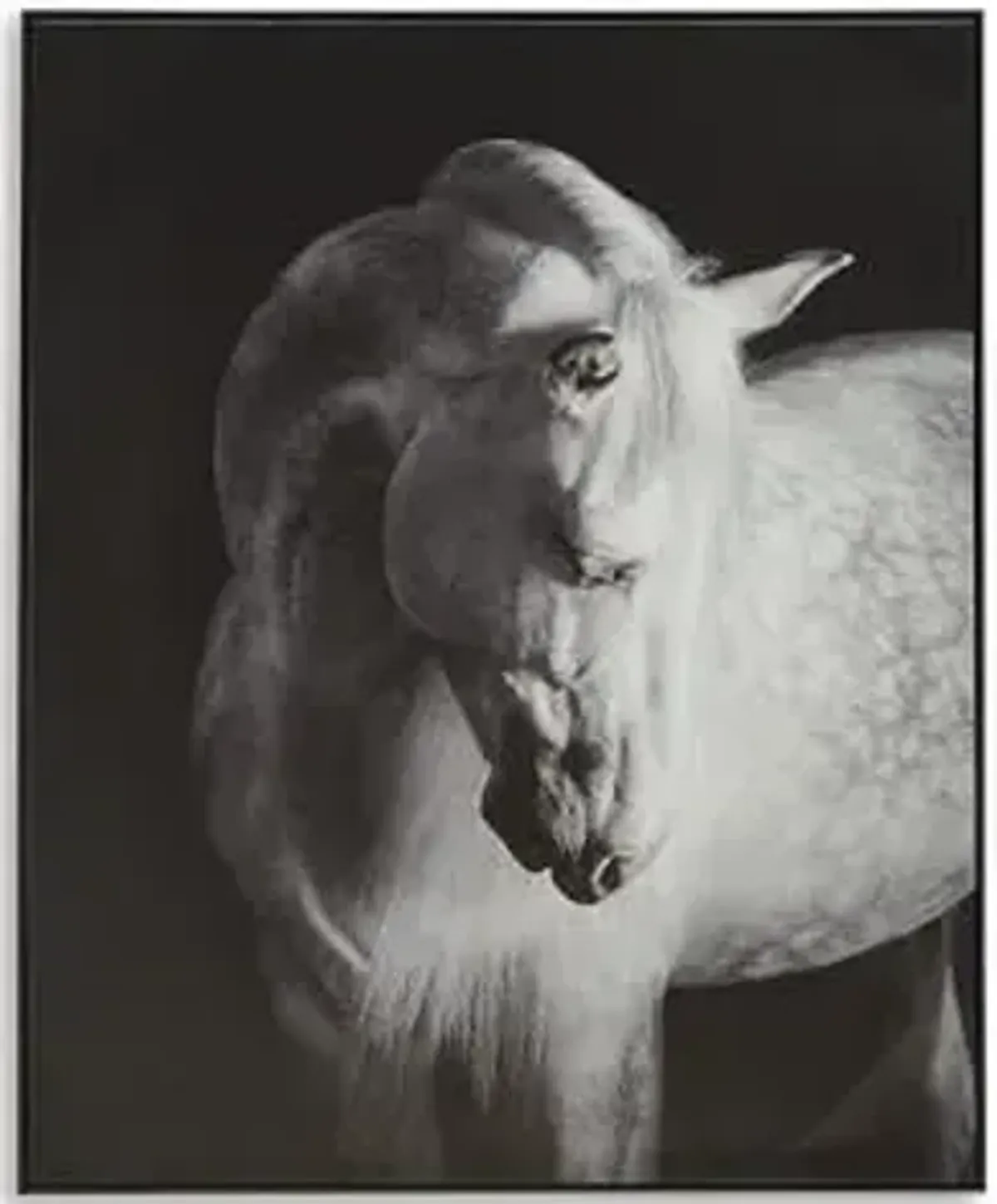 Signature Design by Ashley Archerwick Casual Framed Gallery Wrapped Canvas Wall Art 40 x 50 Inches, Black & White