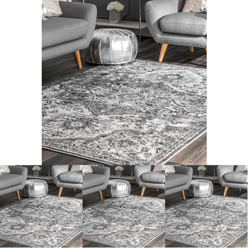 nuLOOM Maryanne Transitional Medallion Area Rug, 4x6, Grey (Pack of 4)