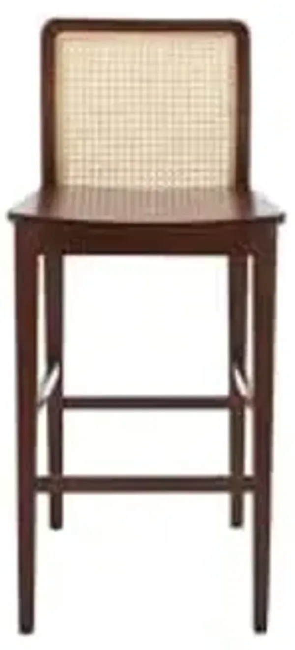 SAFAVIEH Home Collection Benicio Dark Brown/Natural Rattan 29-inch Seat Height Bar Stool Set of 2