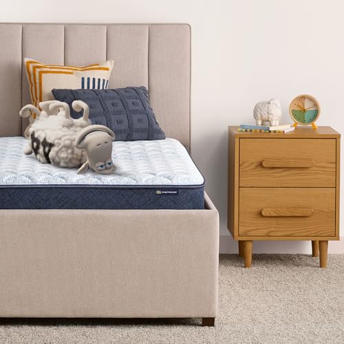 Serta Sleeptrue Firm 6" Full Memory Foam Mattress in a Box, Cooling, Breathable, and Pressure Relieving - 100 Night Trial, CertiPUR-US Certified and 10 Year Limited Warranty