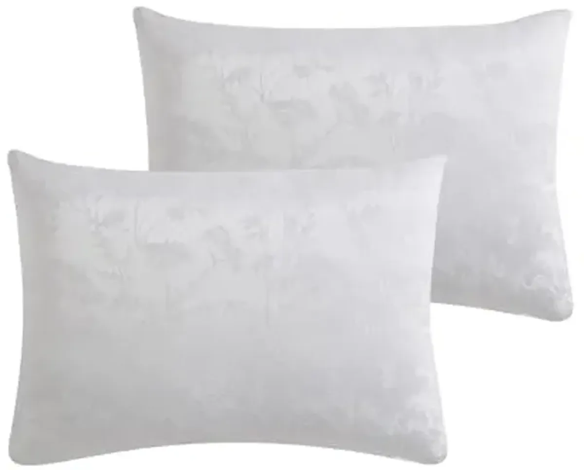 Tahari Home - King Size Comforter, 5-Piece Jacquard Bedding Set with Matching Shams & Decorative Pillows (Nikka Collection, Coconut Milk)