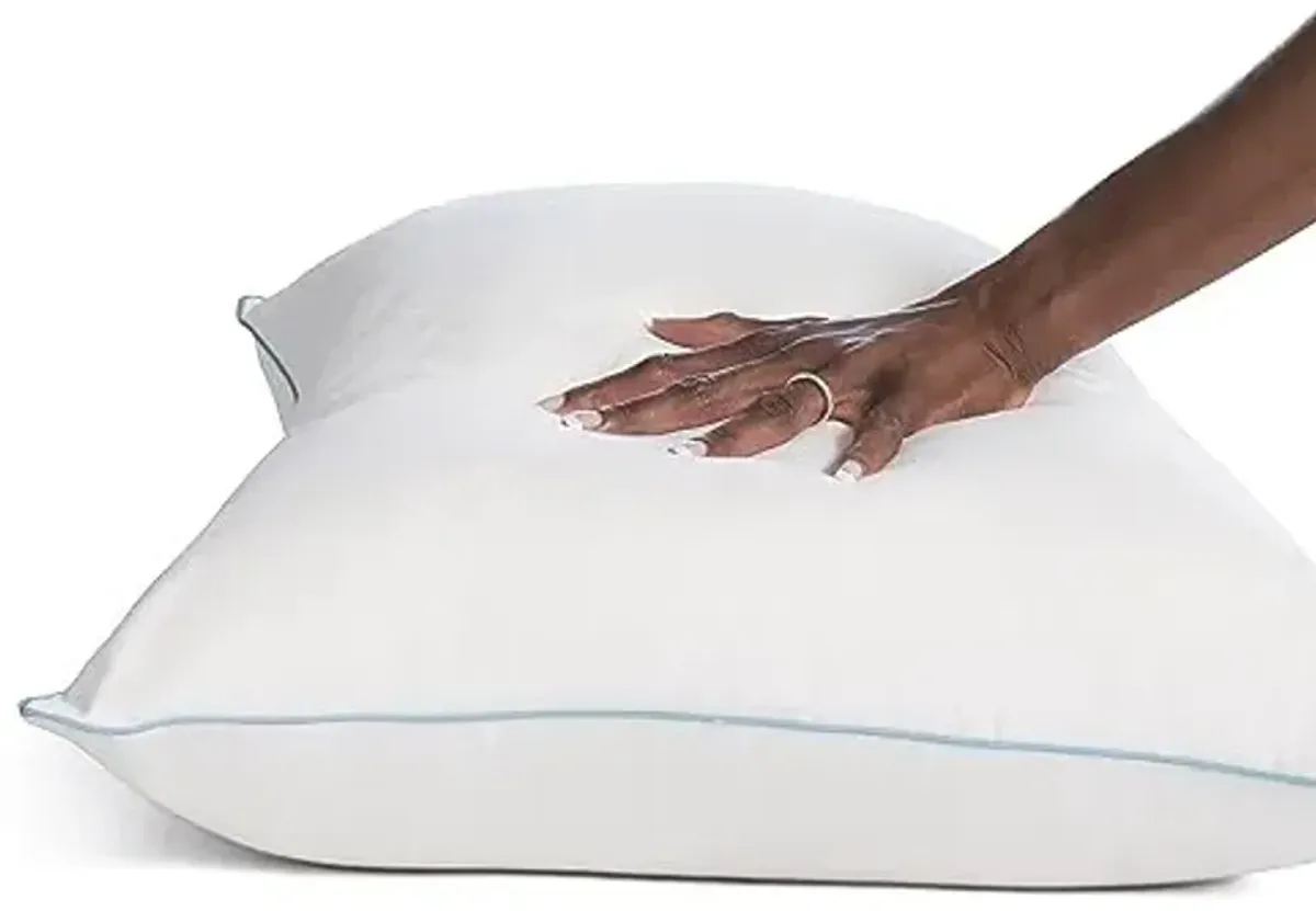 Sealy Clean Protection Waterproof Comfort Knit Fitted Queen Mattress Protector & 2 Pack Standard/Queen Soft Cotton Temperature Balancing Pillows Machine Washable Bundle