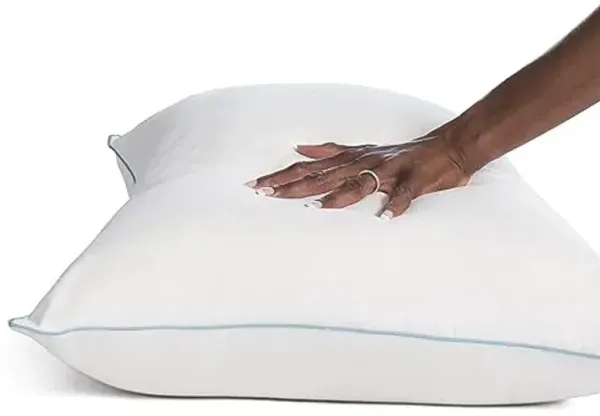Sealy Clean Protection Waterproof Comfort Knit Fitted Queen Mattress Protector & 2 Pack Standard/Queen Soft Cotton Temperature Balancing Pillows Machine Washable Bundle