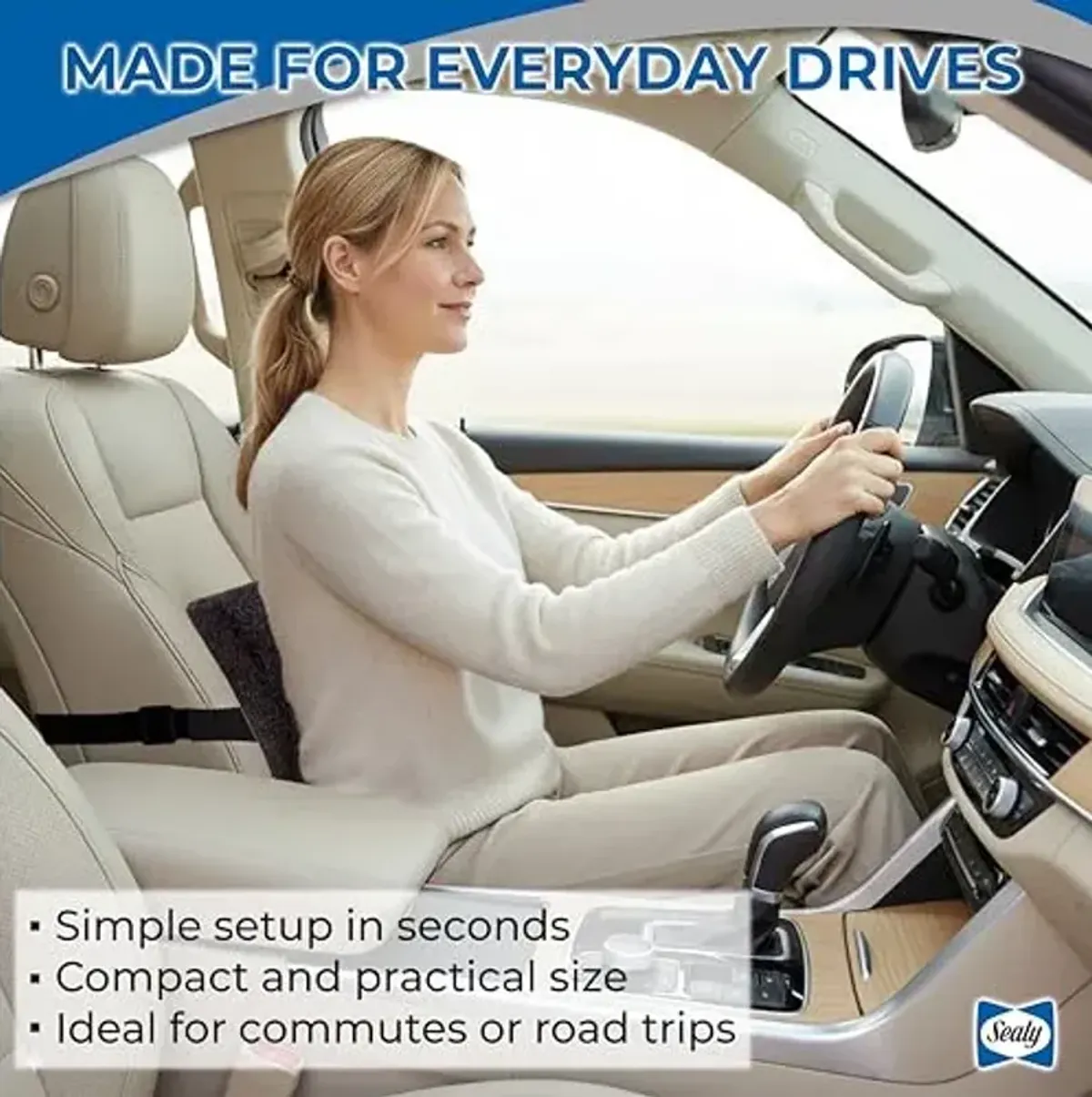 Sealy Memory Foam Lumbar Support Pillow – Ergonomic Back Cushion for Office Chairs and Car Seats, Premium Lower Back Pain Relief and Multi-Purpose Comfort (Black)