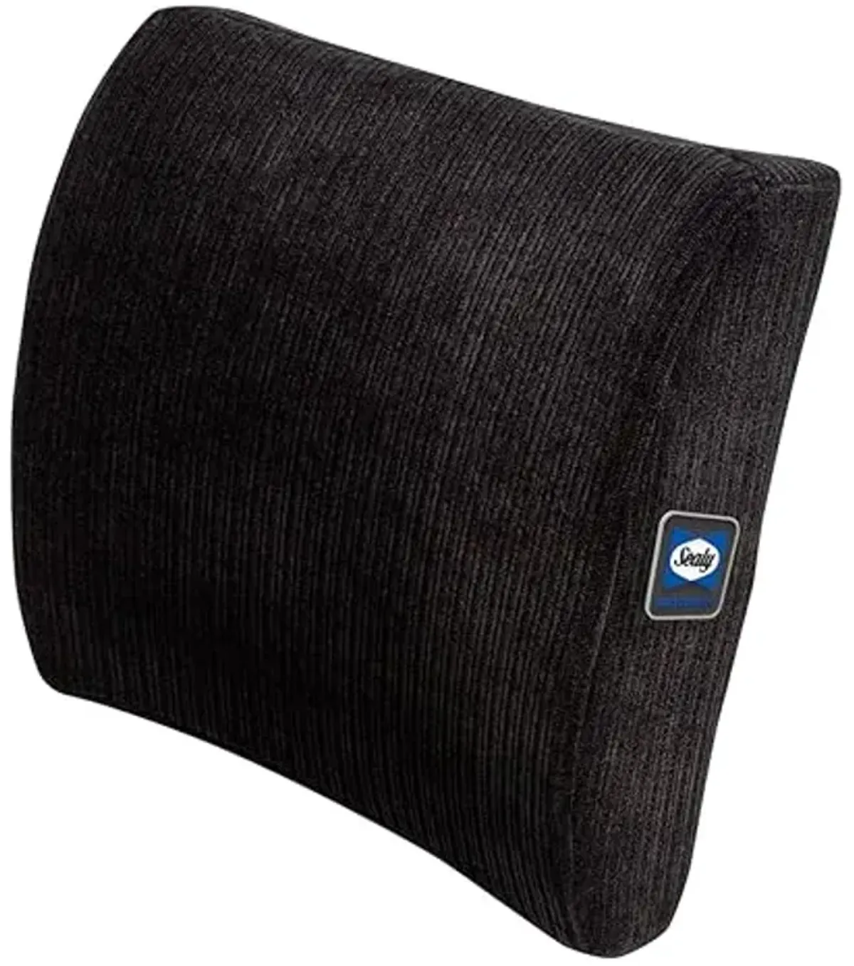 Sealy Memory Foam Lumbar Support Pillow – Ergonomic Back Cushion for Office Chairs and Car Seats, Premium Lower Back Pain Relief and Multi-Purpose Comfort (Black)