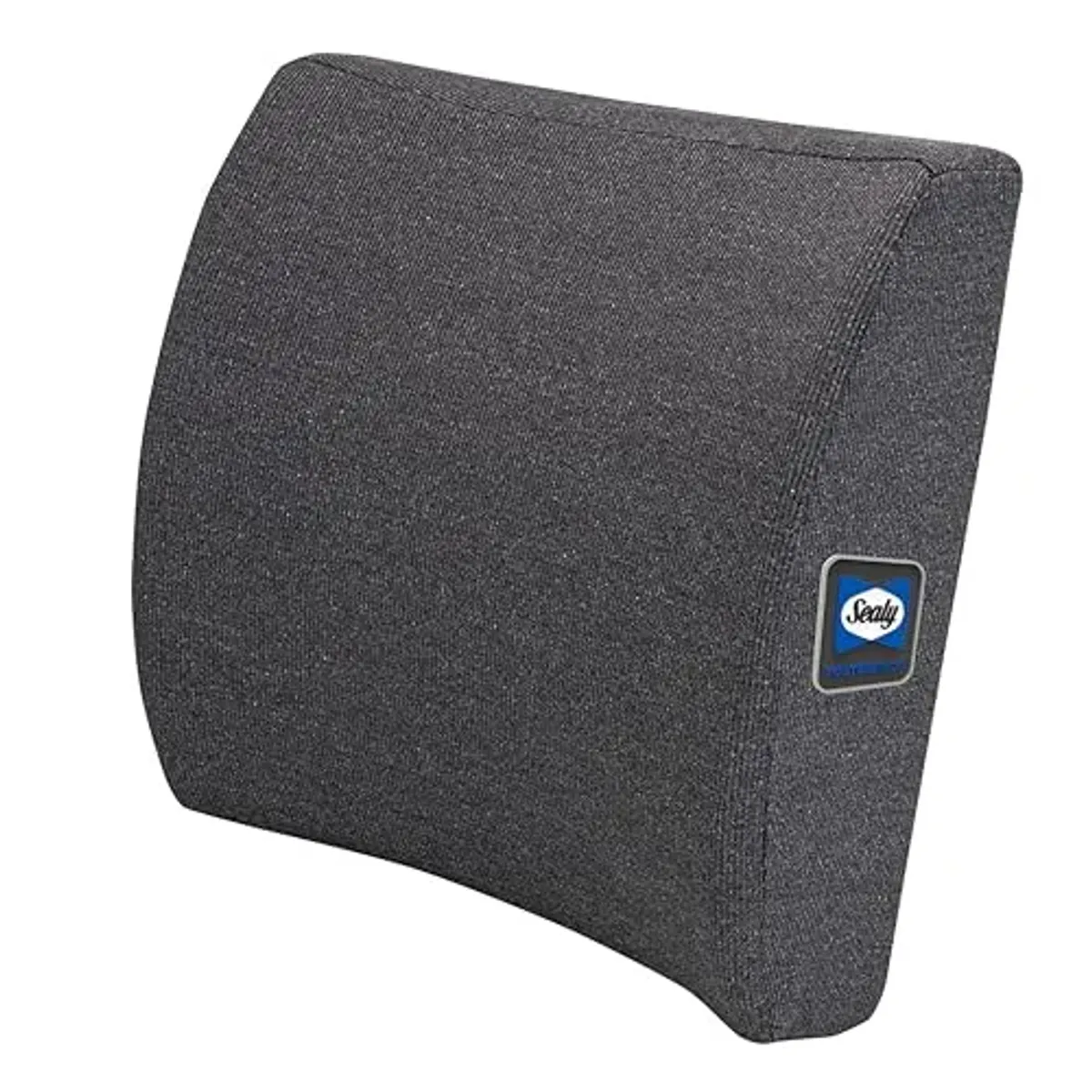 Sealy Memory Foam Lumbar Support Pillow – Ergonomic Back Cushion for Office Chairs and Car Seats, Premium Lower Back Pain Relief and Multi-Purpose Comfort (Gray)