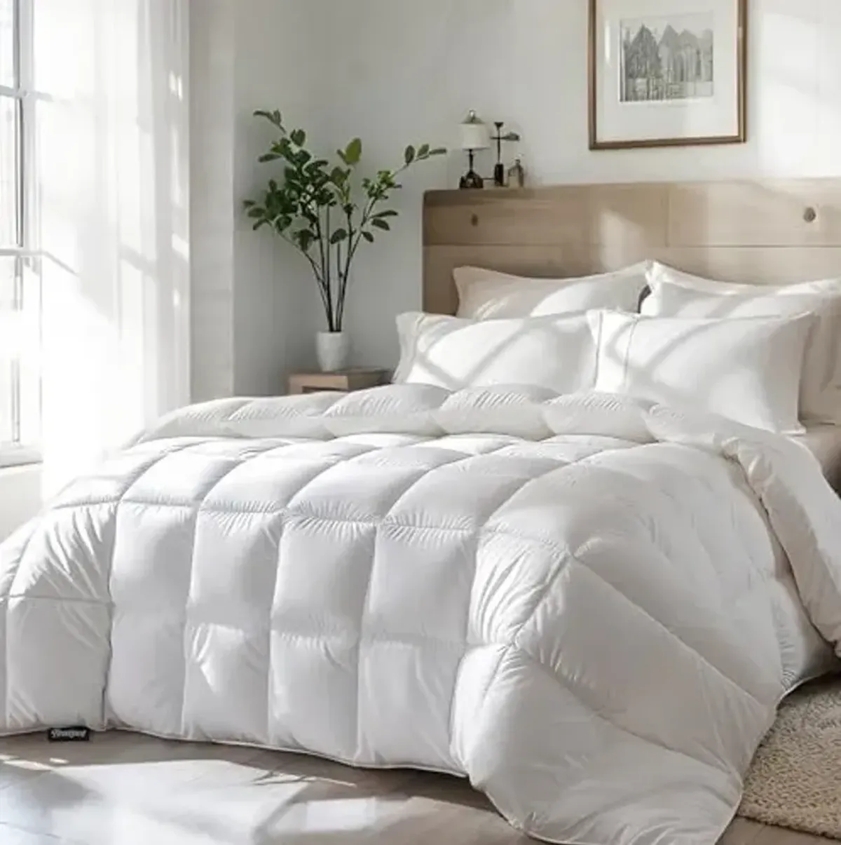 Beautyrest Goose Feather Down Fiber Comforter Queen/Full Size All Season, Hotel Collection Fluffy 100% Cotton Cover Duvet Insert, Medium Warmth 90 x 90 Inch White