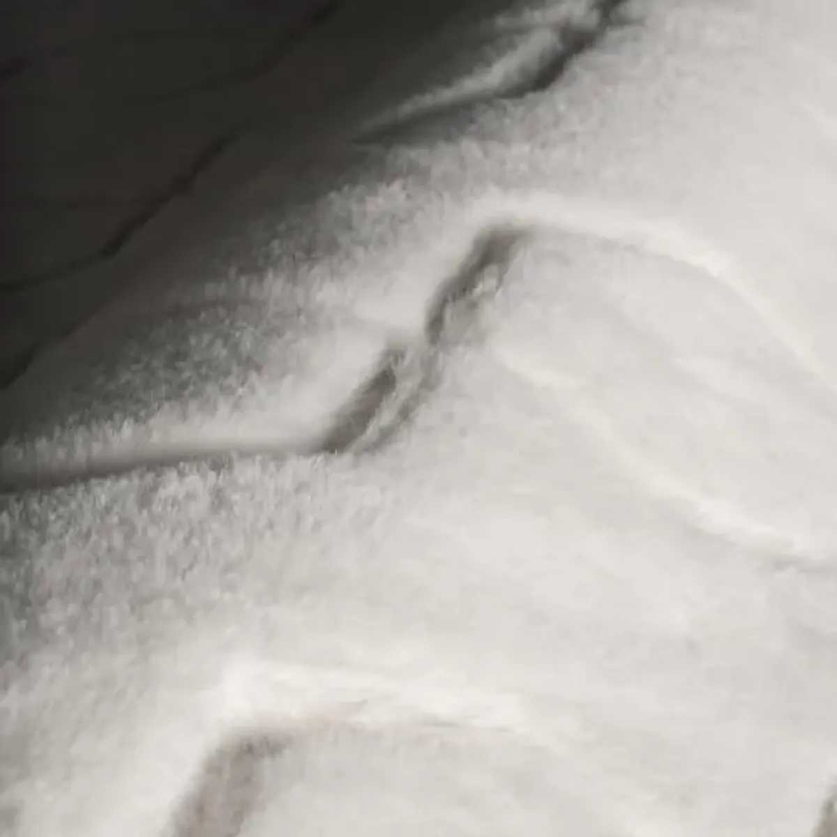 Rugs USA x Padma Lakshmi Rythymn Diamond Plush Cloud Washable Rug, 2x3, Off White