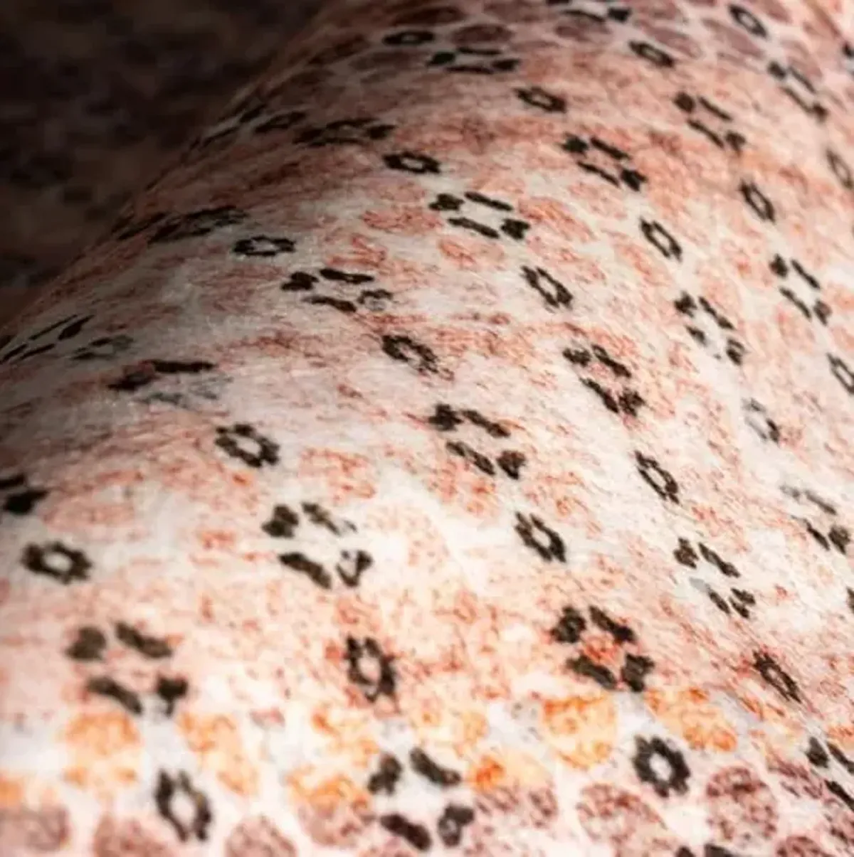 Rugs USA x Padma Lakshmi Feline Dotted Stripe Washable Area Rug, 2x3, Pink