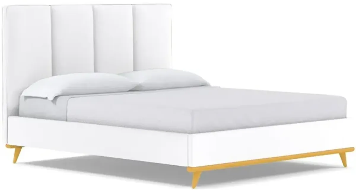 Carter Upholstered Velvet Platform Bed