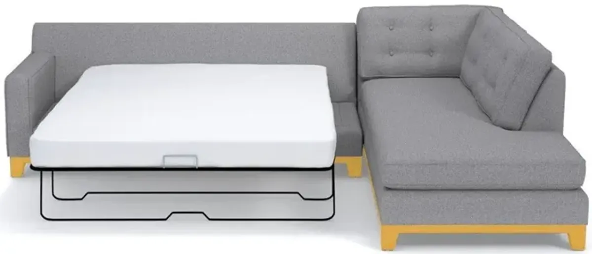 Brentwood 2pc Sleeper Sectional